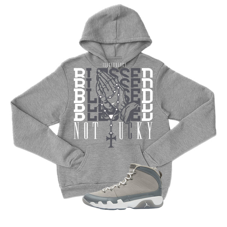 Air Jordan 9 Cool Grey T-Shirt (Blessed not lucky) product image 3