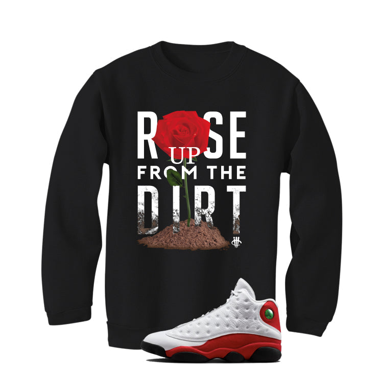 Air Jordan 13 Chicago Matching T-Shirt, Sweatshirts & product image 4