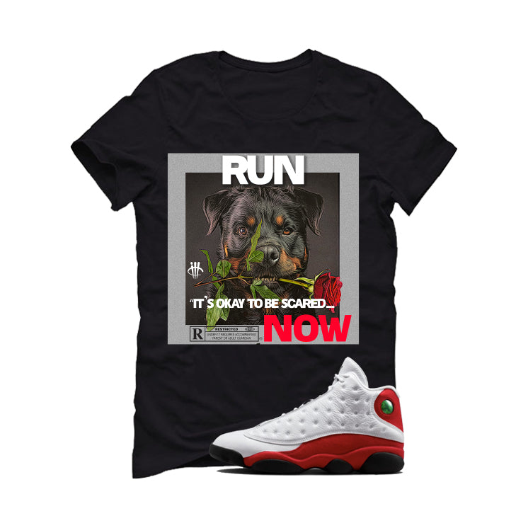 Air Jordan 13 Chicago Matching T-Shirt, Sweatshirts & product image 2