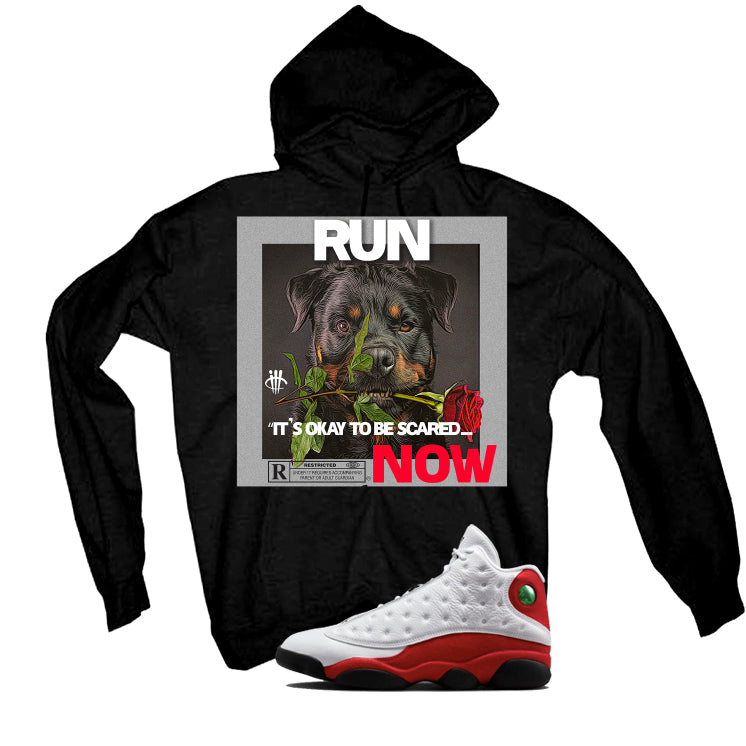 Air Jordan 13 Chicago Matching T-Shirt, Sweatshirts & product image 3