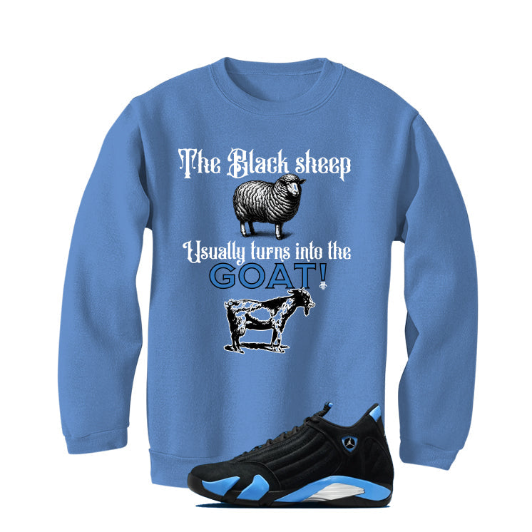 Air Jordan 14 University Blue Matching T-Shirt, Sweatshirts product image 4