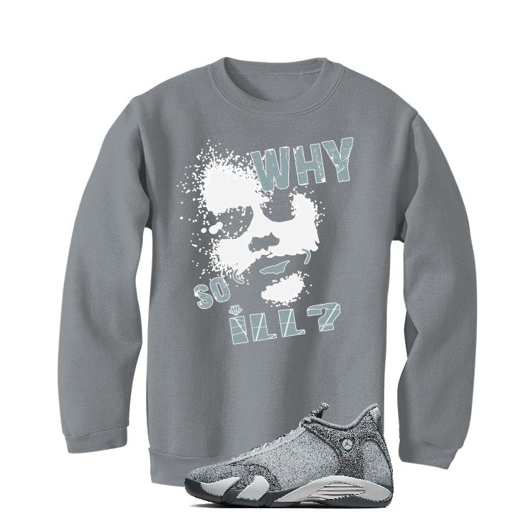 Air Jordan 14 “Flint Grey” | illcurrency T-Shirt (WHY SO product image 4