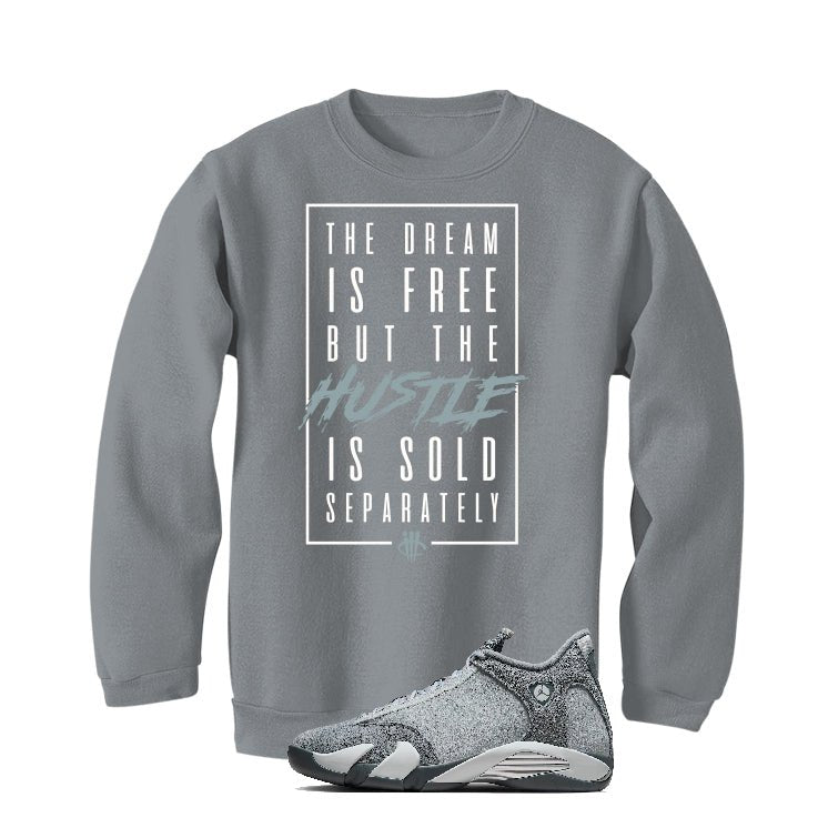 Air Jordan 14 “Flint Grey” | illcurrency T-Shirt (DREAM IS product image 4