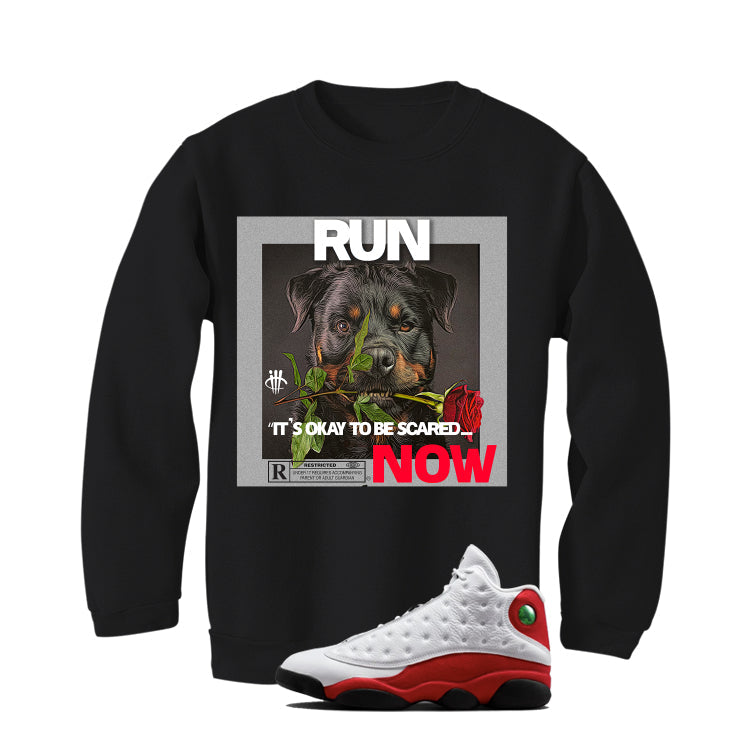 Air Jordan 13 Chicago Matching T-Shirt, Sweatshirts & product image 4