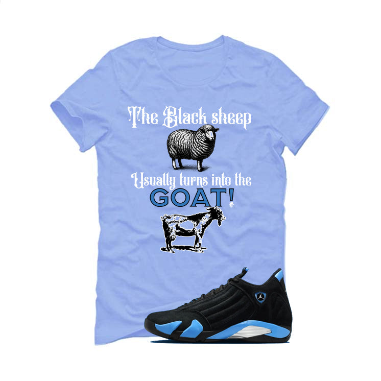 Air Jordan 14 University Blue Matching T-Shirt, Sweatshirts product image 2