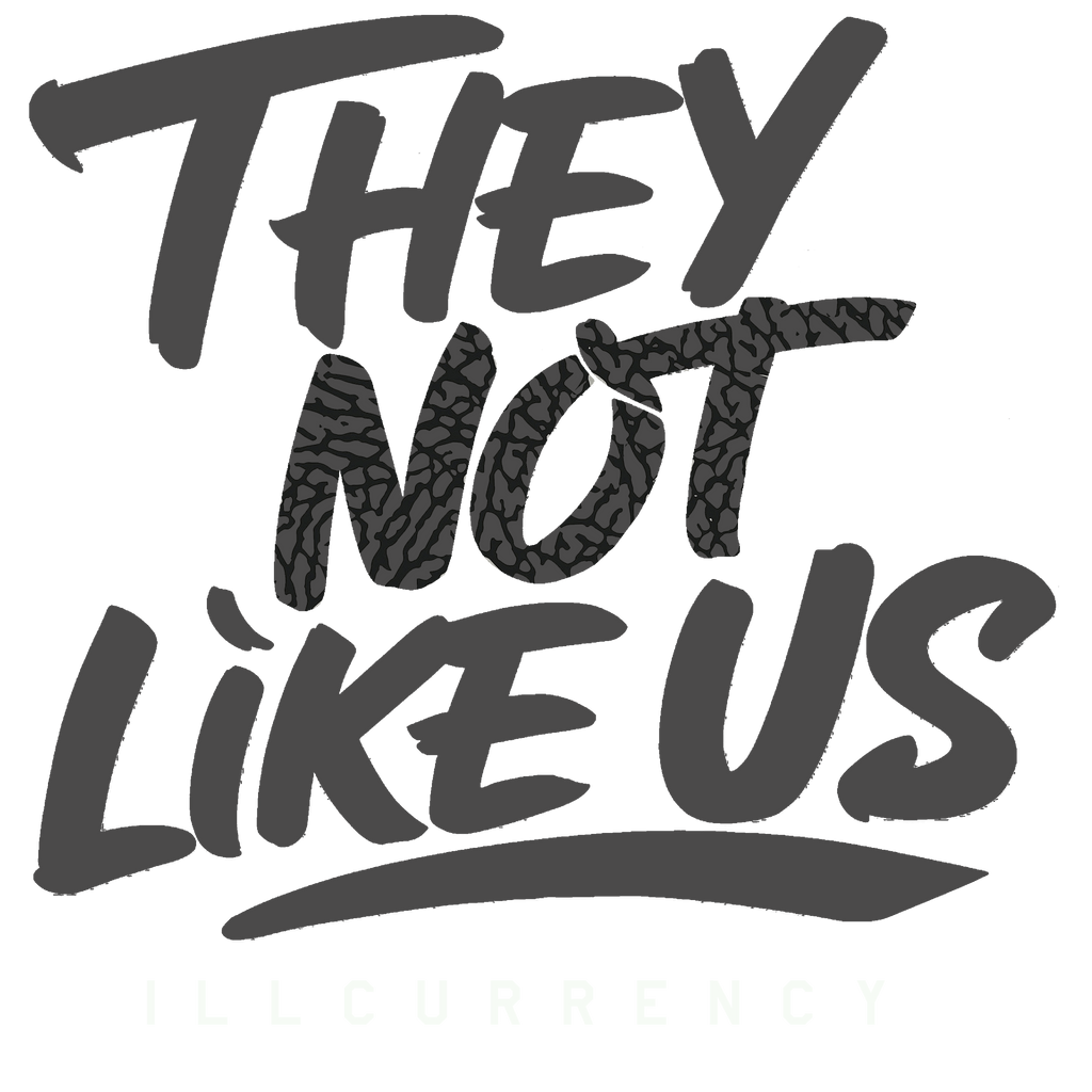 Air Jordan 3 Black Cat T-Shirt (They not like us) product image 1