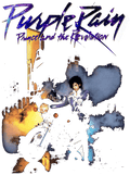 Nike Air Foamposite One Galaxy Black T-Shirt (Purple Rain) product image 1