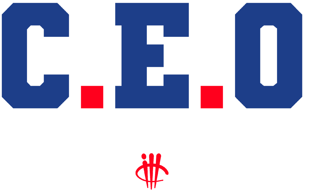 Air Jordan 4 Rare Black T-Shirt (Ceo)| illcurrency product image 1