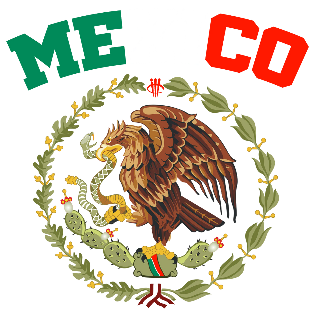 Air Jordan 3 Mexico El Vuelo Matching T-Shirt, Sweatshirts product image 1