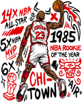 Air Jordan 13 Chicago Matching T-Shirt, Sweatshirts & product image 1