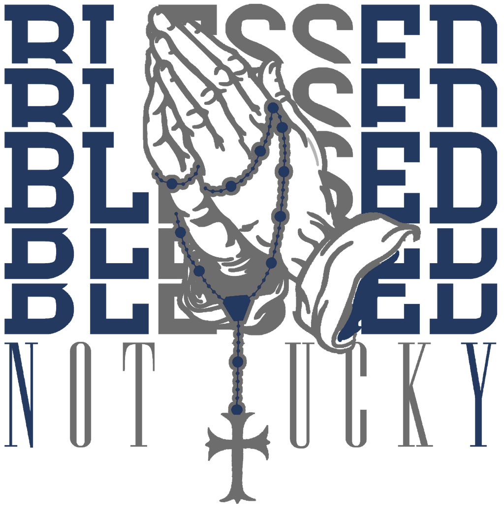 Air Jordan 13 Flint White T-Shirt (Blessed not lucky) product image 1